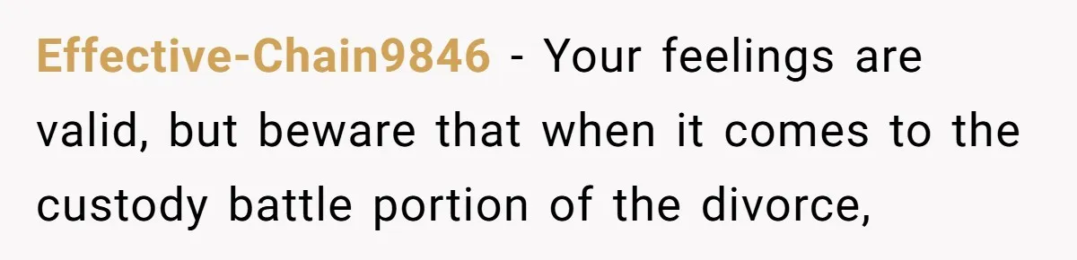 Daycare Nearly Kicks Out Toddler After Dad’s No-Shows, But He Blames Mom For “Abandoning” Him Effective-Chain9846 − Your feelings are valid, but beware that when it comes to the custody battle portion of the divorce,