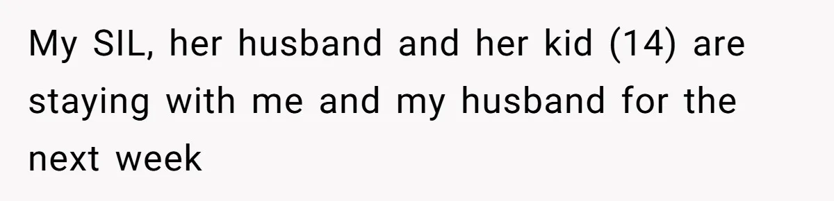 Pregnant Wife Kicks Out Traumatized Sister-In-Law After What She Says To Drunk Husband My SIL, her husband and her kid (14) are staying with me and my husband for the next week