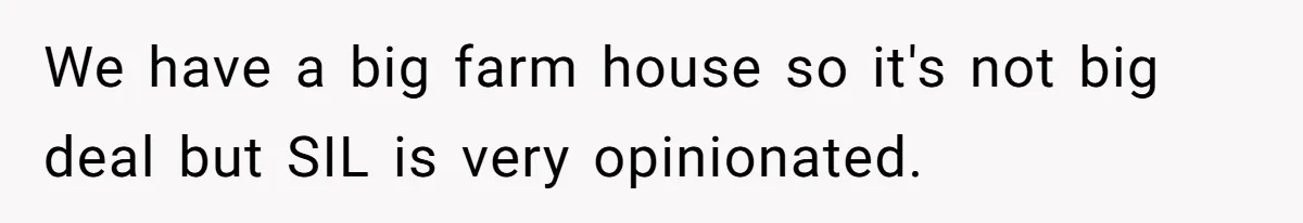 Pregnant Wife Kicks Out Traumatized Sister-In-Law After What She Says To Drunk Husband We have a big farm house so it's not big deal but SIL is very opinionated.