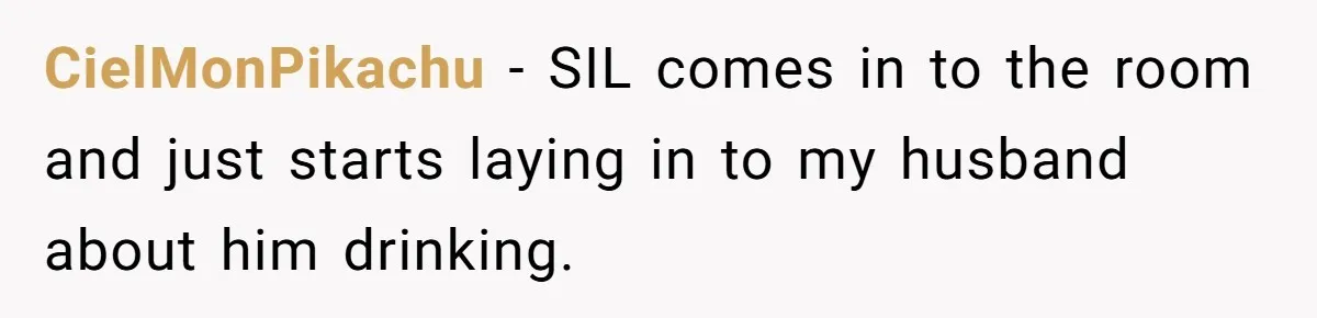 Pregnant Wife Kicks Out Traumatized Sister-In-Law After What She Says To Drunk Husband CielMonPikachu − SIL comes in to the room and just starts laying in to my husband about him drinking.