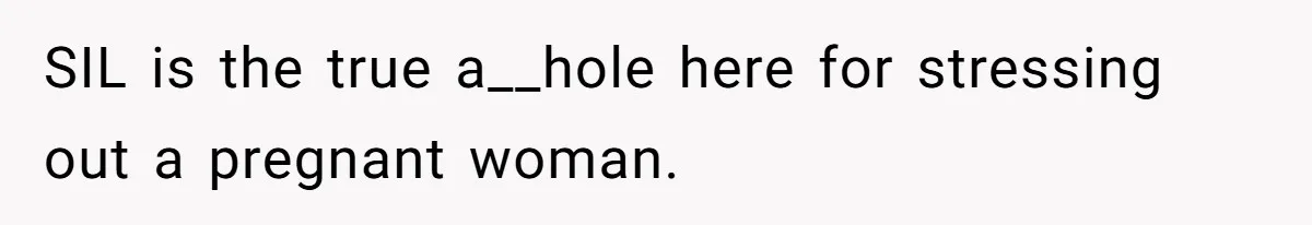 Pregnant Wife Kicks Out Traumatized Sister-In-Law After What She Says To Drunk Husband SIL is the true a__hole here for stressing out a pregnant woman.