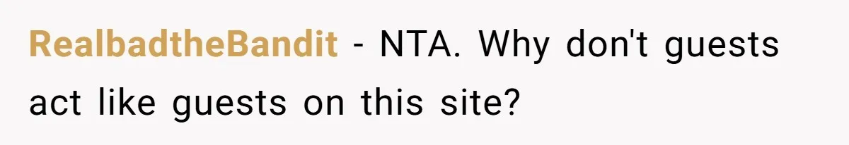 Pregnant Wife Kicks Out Traumatized Sister-In-Law After What She Says To Drunk Husband RealbadtheBandit − NTA. Why don't guests act like guests on this site?