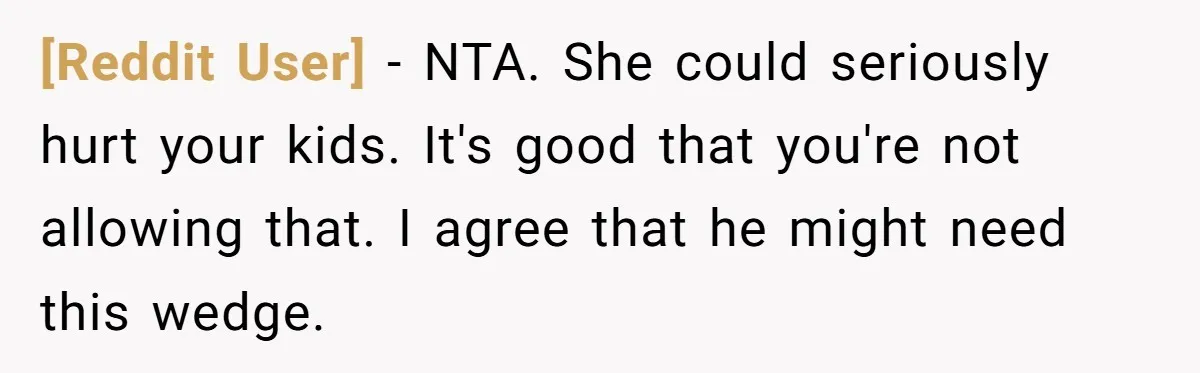 [Reddit User] − NTA. She could seriously hurt your kids. It's good that you're not allowing that. I agree that he might need this wedge.