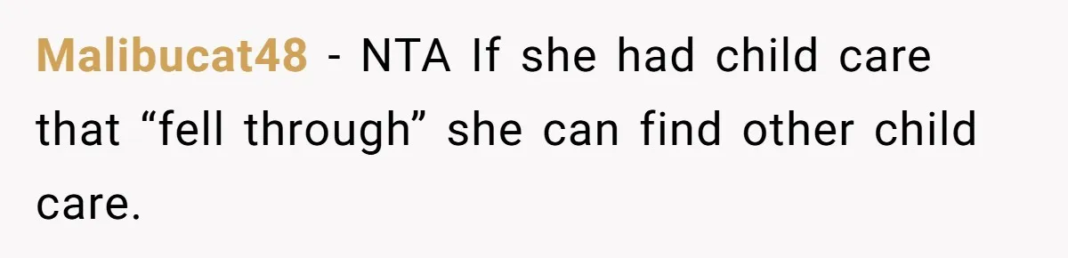 A Single Mom Demanded They Pay Her Child’s Full-Time Childcare - And Lost It When They Said No Malibucat48 − NTA If she had child care that “fell through” she can find other child care.