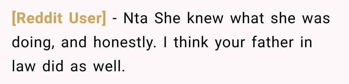 [Reddit User] − Nta She knew what she was doing, and honestly. I think your father in law did as well.