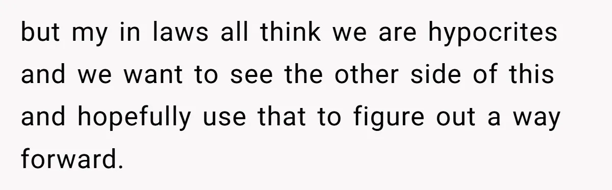 Couple Wants Brother-In-Law’s Help Having Kids, He Demands She Carry Three Extra Babies For Him First but my in laws all think we are hypocrites and we want to see the other side of this and hopefully use that to figure out a way forward.