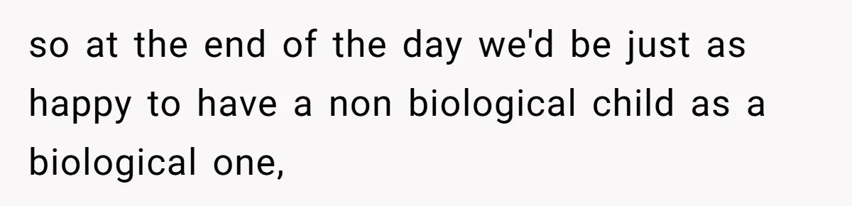 Couple Wants Brother-In-Law’s Help Having Kids, He Demands She Carry Three Extra Babies For Him First so at the end of the day we'd be just as happy to have a non biological child as a biological one,