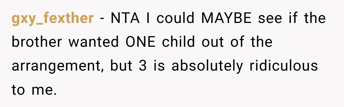 Couple Wants Brother-In-Law’s Help Having Kids, He Demands She Carry Three Extra Babies For Him First gxy_fexther − NTA I could MAYBE see if the brother wanted ONE child out of the arrangement, but 3 is absolutely ridiculous to me.