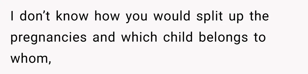 Couple Wants Brother-In-Law’s Help Having Kids, He Demands She Carry Three Extra Babies For Him First I don’t know how you would split up the pregnancies and which child belongs to whom,