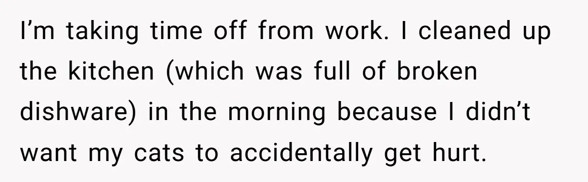 Her Fiancée Secretly Met With the Mother Who Abused Her and Then Tried to Force Her to Invite Her Entire Toxic Family to the Wedding I’m taking time off from work. I cleaned up the kitchen (which was full of broken dishware) in the morning because I didn’t want my cats to accidentally get hurt.