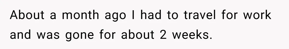 Homeowner Forces Police To Charge Mayor’s Niece And Friends For Trashing His Private Pool About a month ago I had to travel for work and was gone for about 2 weeks.