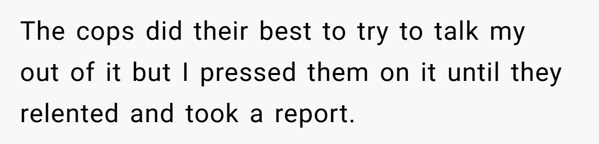 Homeowner Forces Police To Charge Mayor’s Niece And Friends For Trashing His Private Pool The cops did their best to try to talk my out of it but I pressed them on it until they relented and took a report.