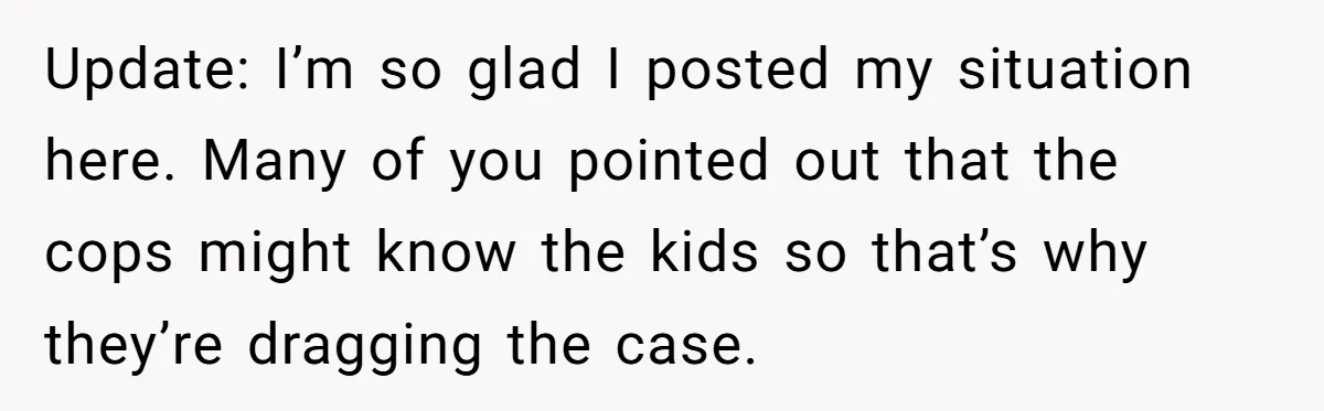 Homeowner Forces Police To Charge Mayor’s Niece And Friends For Trashing His Private Pool Update: I’m so glad I posted my situation here. Many of you pointed out that the cops might know the kids so that’s why they’re dragging the case.