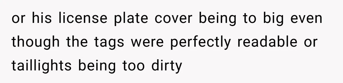 Homeowner Forces Police To Charge Mayor’s Niece And Friends For Trashing His Private Pool or his license plate cover being to big even though the tags were perfectly readable or taillights being too dirty