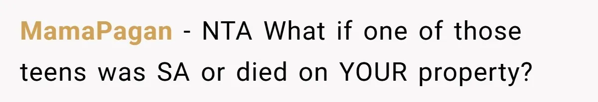 Homeowner Forces Police To Charge Mayor’s Niece And Friends For Trashing His Private Pool MamaPagan − NTA What if one of those teens was SA or died on YOUR property?