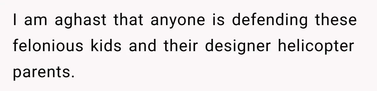 Homeowner Forces Police To Charge Mayor’s Niece And Friends For Trashing His Private Pool I am aghast that anyone is defending these felonious kids and their designer helicopter parents.