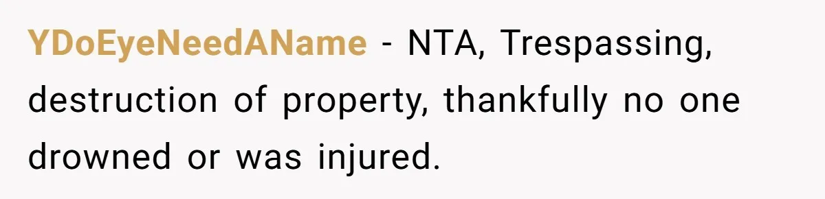 Homeowner Forces Police To Charge Mayor’s Niece And Friends For Trashing His Private Pool YDoEyeNeedAName − NTA, Trespassing, destruction of property, thankfully no one drowned or was injured.