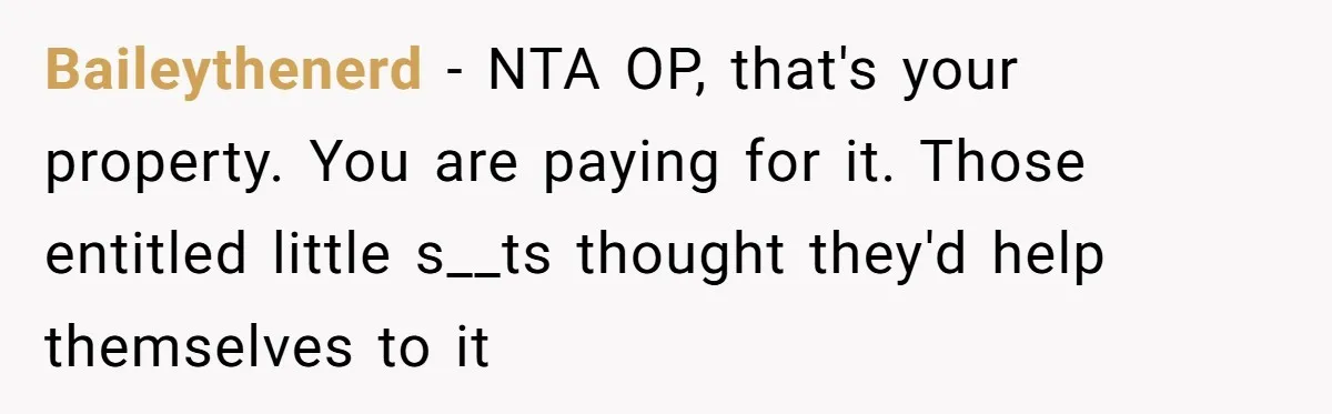 Homeowner Forces Police To Charge Mayor’s Niece And Friends For Trashing His Private Pool Baileythenerd − NTA OP, that's your property. You are paying for it. Those entitled little s__ts thought they'd help themselves to it