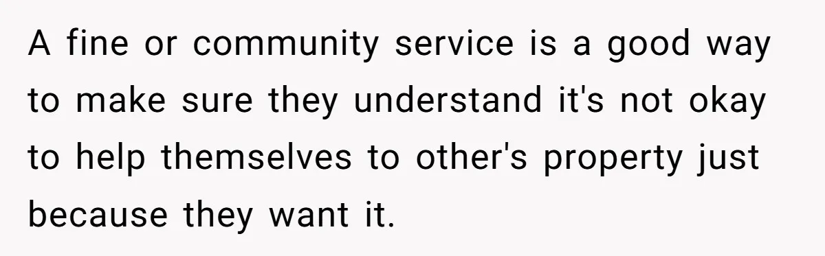 Homeowner Forces Police To Charge Mayor’s Niece And Friends For Trashing His Private Pool A fine or community service is a good way to make sure they understand it's not okay to help themselves to other's property just because they want it.