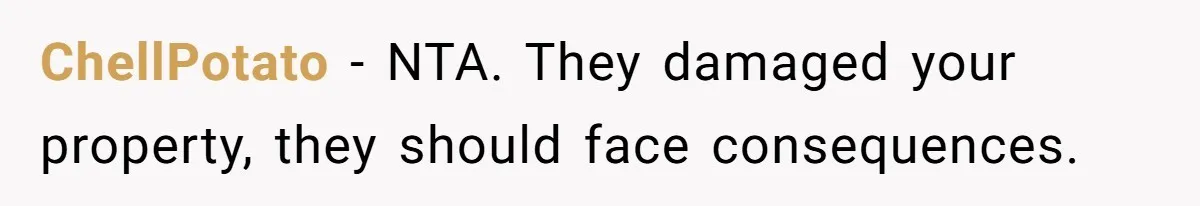 Homeowner Forces Police To Charge Mayor’s Niece And Friends For Trashing His Private Pool ChellPotato − NTA. They damaged your property, they should face consequences.