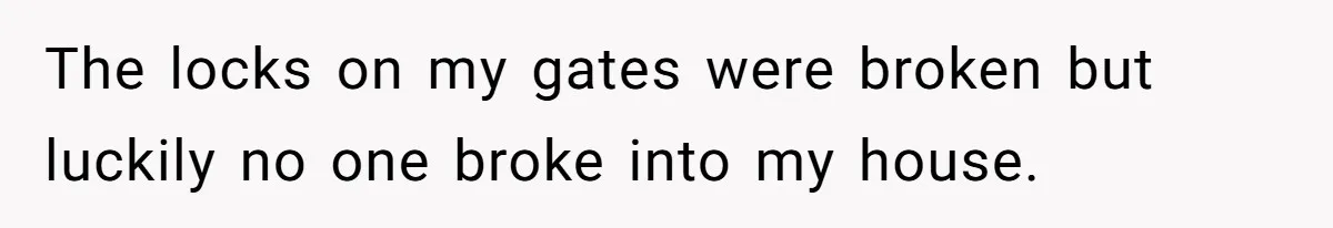 Homeowner Forces Police To Charge Mayor’s Niece And Friends For Trashing His Private Pool The locks on my gates were broken but luckily no one broke into my house.