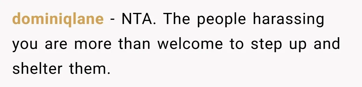 Woman Refuses to Shelter the Parents Who Neglected Her - and Now Calls Come to ‘Save’ Them dominiqlane − NTA. The people harassing you are more than welcome to step up and shelter them.