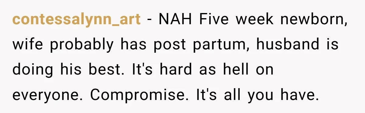 Exhausted Dad Takes Long Nap, Leaving Sick Wife Alone With Newborn Baby contessalynn_art − NAH Five week newborn, wife probably has post partum, husband is doing his best. It's hard as hell on everyone. Compromise. It's all you have.