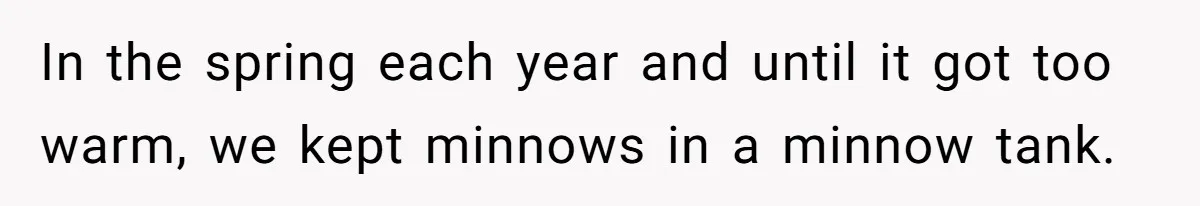 Customer Accuses Worker Of Shorting Her On Fish, Finds Out The Truth The Hard Way In the spring each year and until it got too warm, we kept minnows in a minnow tank.