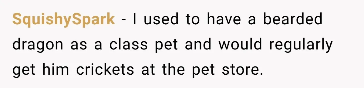 Customer Accuses Worker Of Shorting Her On Fish, Finds Out The Truth The Hard Way SquishySpark − I used to have a bearded dragon as a class pet and would regularly get him crickets at the pet store.