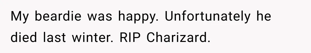 Customer Accuses Worker Of Shorting Her On Fish, Finds Out The Truth The Hard Way My beardie was happy. Unfortunately he died last winter. RIP Charizard.