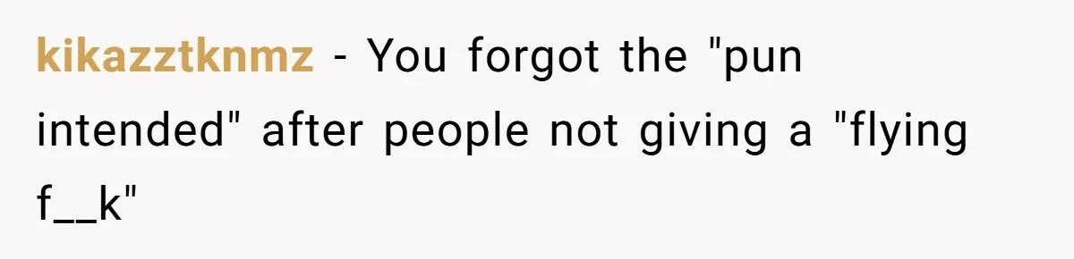 Traveler Surrenders Window Seat To Rude Passenger, Then Blocks Entire Aisle With Fake Nap Revenge kikazztknmz − You forgot the "pun intended" after people not giving a "flying f__k"