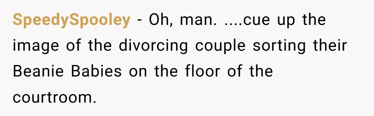 Assistant Goes Full-Petty While Packing Boss’s Divorce Items - and His Ex Still Emails Complaints Years Later SpeedySpooley − Oh, man. ....cue up the image of the divorcing couple sorting their Beanie Babies on the floor of the courtroom.