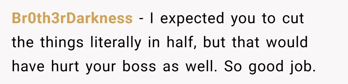 Assistant Goes Full-Petty While Packing Boss’s Divorce Items - and His Ex Still Emails Complaints Years Later Br0th3rDarkness − I expected you to cut the things literally in half, but that would have hurt your boss as well. So good job.