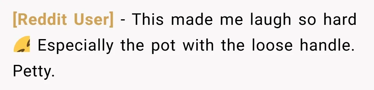 [Reddit User] − This made me laugh so hard 🤣 Especially the pot with the loose handle. Petty.