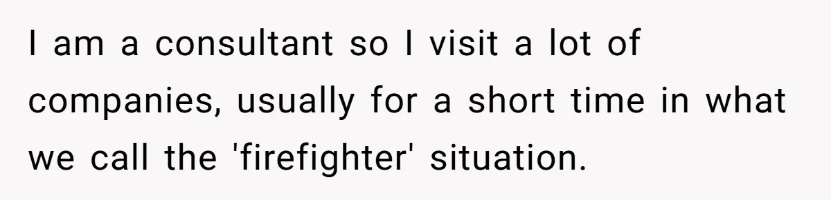 Admin Worker Accidentally Torpedoes Rude Ex-Colleague’s Dream Job With One Honest Laugh I am a consultant so I visit a lot of companies, usually for a short time in what we call the 'firefighter' situation.
