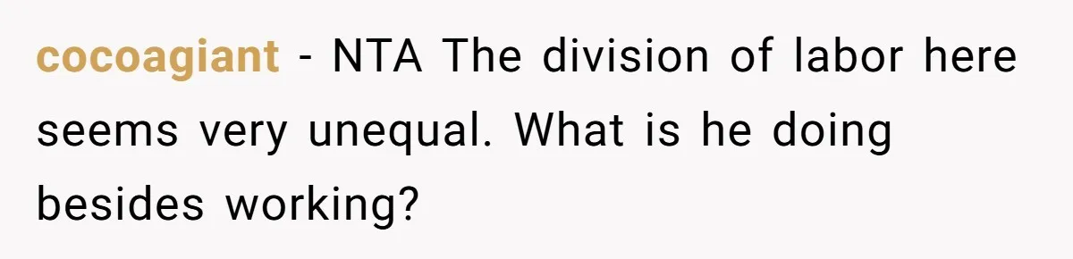 Husband Throws Fit Because Wife Can’t Have Hot Dinner Ready, Despite Her Exhausting Work And Child Care cocoagiant − NTA The division of labor here seems very unequal. What is he doing besides working?