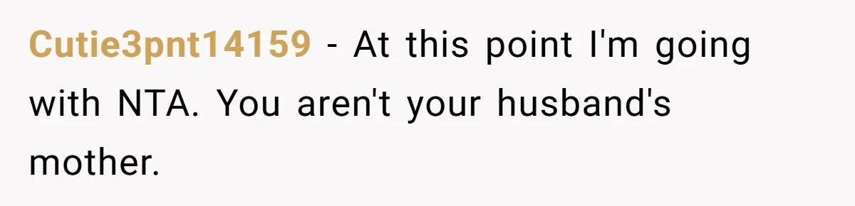 Husband Throws Fit Because Wife Can’t Have Hot Dinner Ready, Despite Her Exhausting Work And Child Care Cutie3pnt14159 − At this point I'm going with NTA. You aren't your husband's mother.