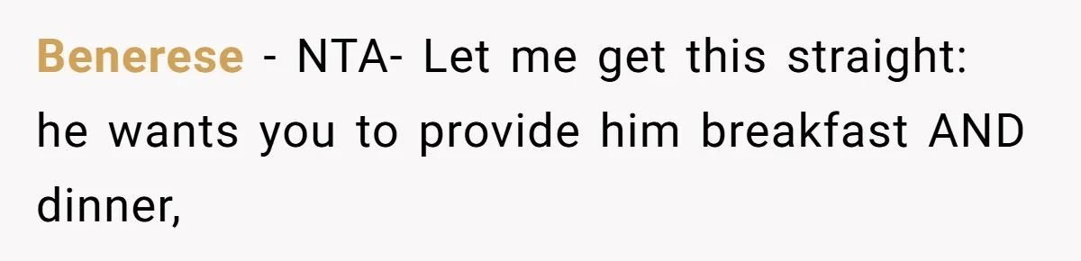 Husband Throws Fit Because Wife Can’t Have Hot Dinner Ready, Despite Her Exhausting Work And Child Care Benerese − NTA- Let me get this straight: he wants you to provide him breakfast AND dinner,