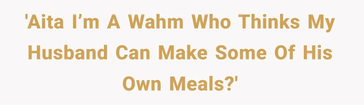 Husband Throws Fit Because Wife Can’t Have Hot Dinner Ready, Despite Her Exhausting Work And Child Care 'AITA I’m a WAHM who thinks my husband can make SOME of his own meals?'