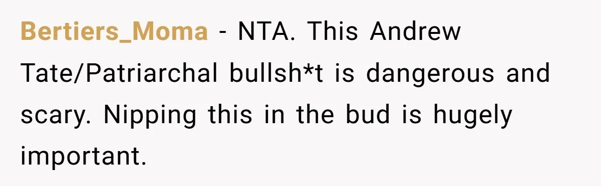 “I Won’t Be a Simp”: Teen Refuses to Iron Clothes and Gets a Major Reality Check Bertiers_Moma − NTA. This Andrew Tate/Patriarchal bullsh*t is dangerous and scary. Nipping this in the bud is hugely important.