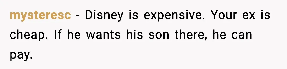 Disney Trip Turns Explosive When Ex Insists His Affair Baby Gets A Free Ride mysteresc - Disney is expensive. Your ex is cheap. If he wants his son there, he can pay.