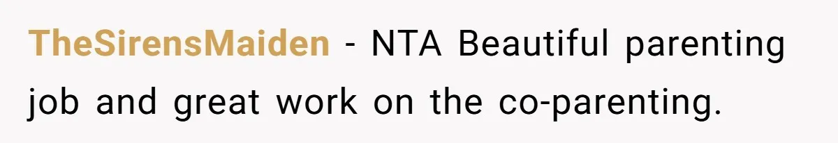 “I Won’t Be a Simp”: Teen Refuses to Iron Clothes and Gets a Major Reality Check TheSirensMaiden − NTA Beautiful parenting job and great work on the co-parenting.
