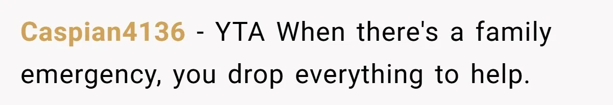 Husband Cancels Christmas Trip After Wife And Teens Refuse To Help During Medical Emergency Caspian4136 − YTA When there's a family emergency, you drop everything to help.