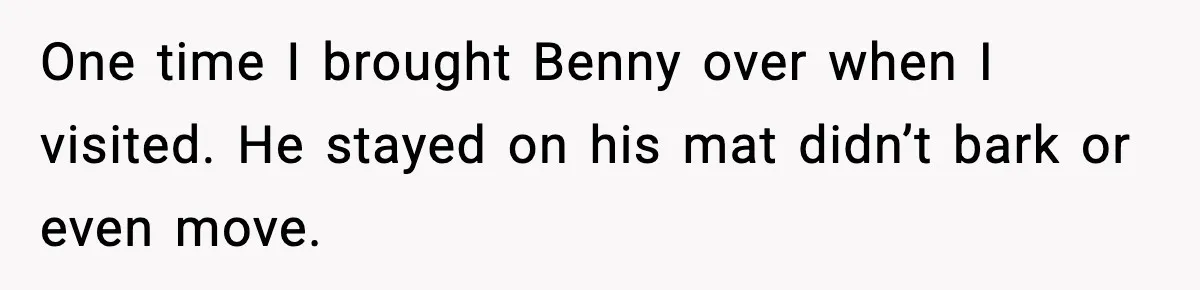 Family Divides After Sister Locks Dog Away and Still Expects Unconditional Support One time I brought Benny over when I visited. He stayed on his mat didn’t bark or even move.