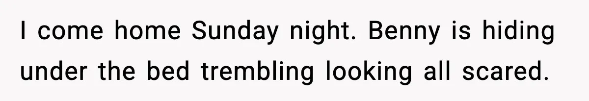 Family Divides After Sister Locks Dog Away and Still Expects Unconditional Support I come home Sunday night. Benny is hiding under the bed trembling looking all scared.