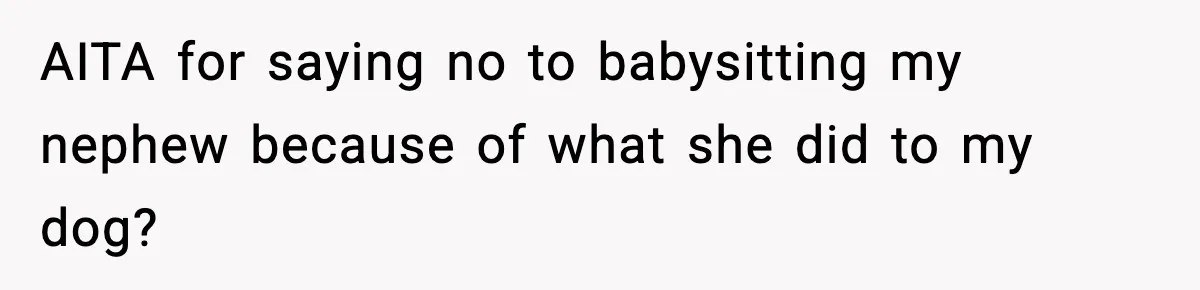 Family Divides After Sister Locks Dog Away and Still Expects Unconditional Support AITA for saying no to babysitting my nephew because of what she did to my dog?