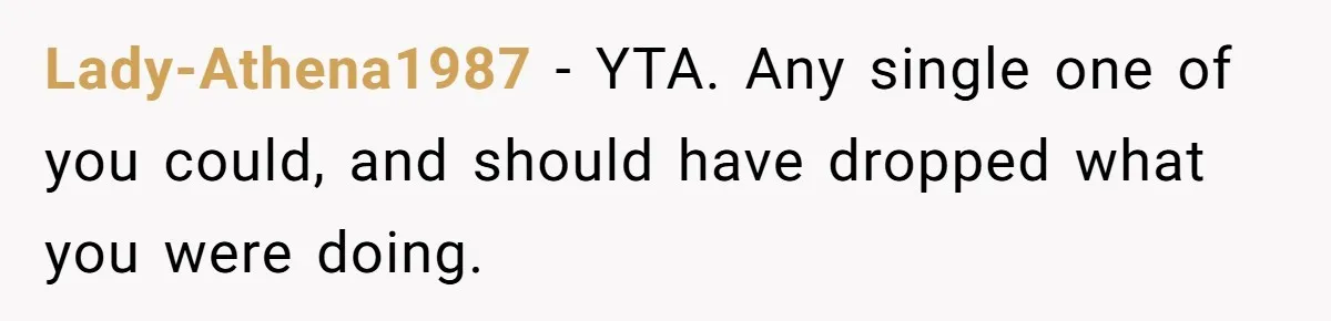 Husband Cancels Christmas Trip After Wife And Teens Refuse To Help During Medical Emergency Lady-Athena1987 − YTA. Any single one of you could, and should have dropped what you were doing.