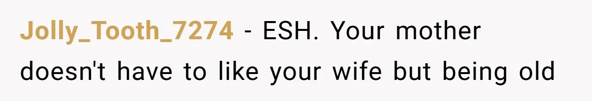 Husband Tells Wife Her MIL Will “Never Love Her” And To Stop Trying, Marriage Blows Up Jolly_Tooth_7274 − ESH. Your mother doesn't have to like your wife but being old