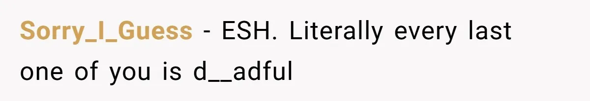 Husband Tells Wife Her MIL Will “Never Love Her” And To Stop Trying, Marriage Blows Up Sorry_I_Guess − ESH. Literally every last one of you is d__adful