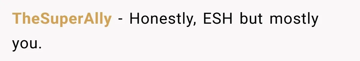 Husband Tells Wife Her MIL Will “Never Love Her” And To Stop Trying, Marriage Blows Up TheSuperAlly − Honestly, ESH but mostly you.